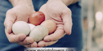 “0”, el número clave de los huevos ecológicos