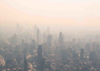 Medicina Ambiental con la Dra. Pilar Muñoz-Calero