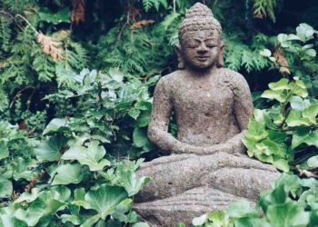 Las verdaderas causas de la felicidad genuina