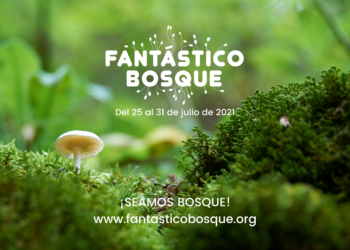 Fantástico Bosque