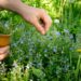 Agua: el nutriente de todos los nutrientes
