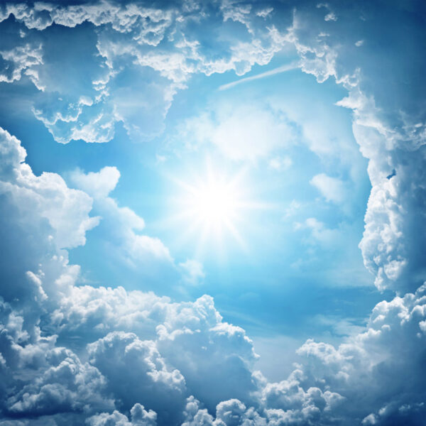 Sesión intensiva - Retiro de 1 día